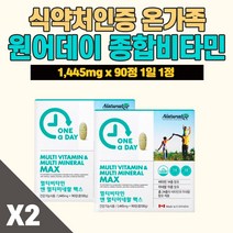 고함량 하루 한알 종합 비타민 미네랄 여성 작은 알약 원어데이 올인원 면역 피로회복 항산화 식약청 식약처 기운 입맛 없을때 중년 노년 실버 시니어 엄마 할머니 건강 영향제, 2개(6개월분), 2개
