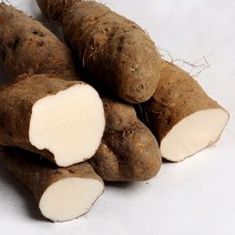 누리원 [경북산지직송] 안동 마 산마 참마, 1박스, 중품 1kg