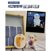 DIY 석고방향제 키트 드라이플라워 세트 차량용 방향제 만들기, 3.차량용 석고방향제_둥글이