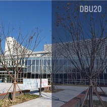 이지픽스 쏠라필름 썬팅지 솔라 자외선차단 포커스필름, DBU20
