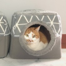 묘심 큐브하우스 고양이집 강아지집 동굴집 방석 따뜻한 꿀잠 겨울집