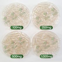 코인텍 투명 식물성 공캡슐100mg 500개1팩, 500개입, 100mg, 500정