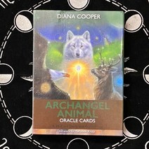 신의 풍부함 oracle deck 영어 설명 oracle tarot card for divination fate 입문자 tarot deck board game for adult, 44개 ts08