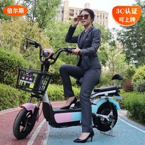 신형 전기자전거 남녀공용 투톤컬러 배터리 자토바이, Pink-Blue / 약 80km 주행거리, 48V