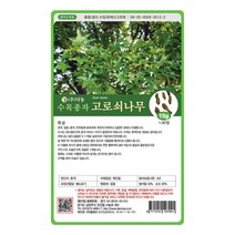 고로쇠나무씨앗 15g 나무씨앗, 1개