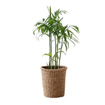 라탄 화분 커버 30cm 라탄 해초 화분 바구니