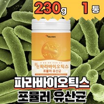 5세대 유산균 사균체 파라바이오틱스 파라바이오스틱 분말 가루 락토바실러스 플란타럼 김치유산균 4균체 배양건조물, 230g( 1개)