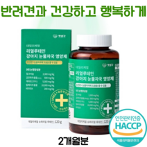 펫생각 강아지 눈 영양제 루테인 리얼칼슘 눈물자국제거 백내장 녹내장 예방, 1개(2개월 120g)