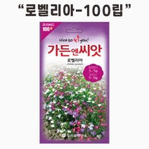 [쇼핑엔티] 가드닝스토어 수입야생화 로벨리아 꽃 씨앗 100립 가든엔씨앗, 없음, 1개