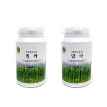 영누리 밀싹분말 국내산 친환경 무농약 실속형 100g 2통, 단품, 2개