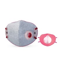 에버그린 크린탑 특급 마스크 C850V 10개입