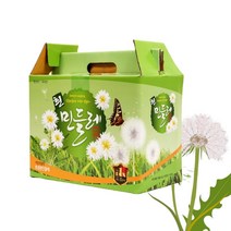토종 흰민들레즙 흰민들레추출액 60포 부모님 명절 선물, 100ml