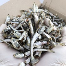 최상급 통영 남해안 육수용 다시용 햇 국물멸치 대멸 한박스 1.5kg, 1. 고급형 대멸치(중) 1.5kg, 1개