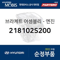 투싼IX 엔진미미(엔진 마운팅 브라켓) (218102S200)
