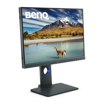 벤큐 24인치 전문가 디자이너용 모니터 BenQ SW240 AQCOLOR 피벗 / sy, 벤큐 SW240
