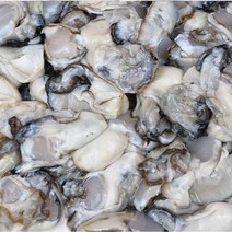 산지직송 싱싱한 완도 청정 수하식 굴 1kg