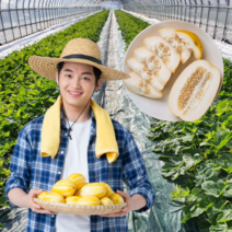 먹사부 산지직송 성주 참외 가정용 2kg 3kg 4kg 5kg 고급 정품 못난이 소과 중과 대과 꼬마 미니 박스포장 고당도, D.정품5kg-중과(11~22과)