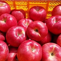 사과농장 햇사과 사과유명한곳 꿀사과 선물용 사과한박스, 1박스, 4kg