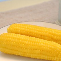 기장찰옥수수 진공포장 10개(2팩) 중국농촌재배 무첨가 찐 삶은 냉동 찰 옥수수, 노랑찰 10개