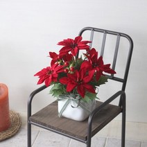 포인세티아 화분(조화).인테홀릭, 1개