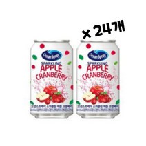 스파클링 애플 345ml 24개, 상세페이지 참조, 상세페이지 참조
