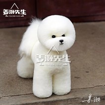 애견미용 강아지 위그 푸들 털 시저링 견체 램클립 가위컷 실습 비숑 연습용 자격증 모형, 비숑 전신털(견체 제외)x2개 세트, 단일사이즈