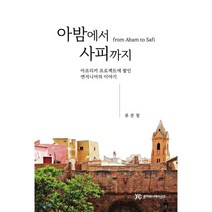 아밤에서 사피까지 : 아프리카 프로젝트에 쌓인 엔지니어의 이야기, 준커뮤니케이션즈, 9791162960226, 류준철 저