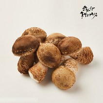 순천향 송화버섯 맛있는 국산 생 송화버섯 산지직송, 1box, 순천향 송화버섯 고급형: 500g
