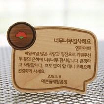 할말있어요 미니카드감사패 카네이션(고급형)-주문제작-사고뭉치, 디자인선택:i.카네이션