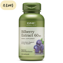 SG솔루션 GNC 빌베리 60mg 100개입, 100정, 1개, 100개