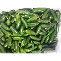 할라피뇨 아삭이고추 1kg 3kg 10kg (짱아찌용), 1개
