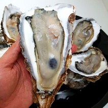 섬진강 강굴 벚굴 벗굴 5kg 생산자직송, 단품