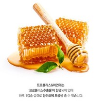 대상포진 몸속 염증 제거 에 좋은 프로폴리스 면역력 항산화 플라보노이드 염증영양제, 3개, 3개