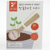 방울 토마토 모종 당뇨에좋은과일 효능 도마토 심기 키우기 유기농 씨드스푼