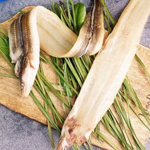 통영멍게 봄여름 제철 수산물 굴 가리비 돌문어 외, 1팩, 반건조장어(특대)3미,장어소스1개