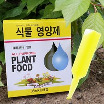 SK511식물영양제 10P 화초 수목 난 화분 비료 앰플 활력 질소 인산 칼륨 가리, 상세페이지 참조