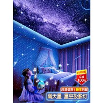 천체투영기 아쿠아리움 수면등 플라네타리움 유아등, D. 충전 오르골