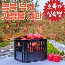 달농 경북 흠집 못난이사과 부사 홍로 계절 주스용 사과 10kg, 주스용 흠집사과 10kg (가을겨울사과)