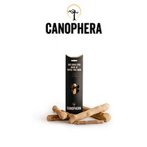 카노페헤라 커피나무 우드스틱 XL, 단품