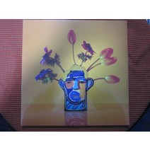 들랑달랑 희귀앨범 LP판 레코드판 유럽판 신품 미개봉 Alexis Taylor Beautiful Thing 2LP
