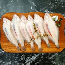 부산 반건조 생선 사리가자미 국내산 구이용 조림용, 6~8미 (19~23cm/ 600g) 내외