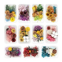 프리저브드 플라워 혼합 대 (11종 택1), 3. 빨강열매