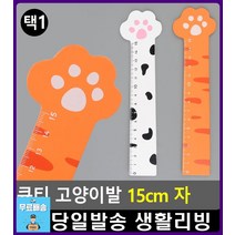 수학시간 초등학생 필수준비물 고양이 자 문구사이트 자취소품 휴대용자 생활용품 사무용품점 예쁜학용품, 1개, 오렌지