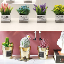 1+1 예뻐서 선인장 조화 인조 선인장 인테리어 미니 화분 다육 사무실 책상, 프로방스 옐로우, 프로방스 옐로우