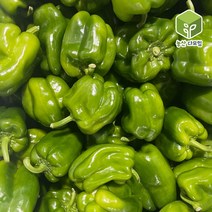 국내산 피망 청피망 5kg, 단품