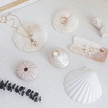 라이트앤 해양 바다소품 산호 조개 오브제 여름소품, 조개 오브제 - 전복 껍데기