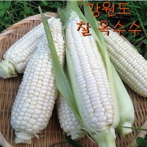 2023년 청원농산 햇옥수수 찰옥수수 10개 20개 30개, 30개 x1box
