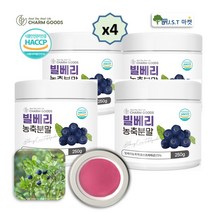 빌베리 가루 분말 농축 추출물 빌베리 루테인 효능, 4병, 250g