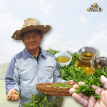 더바른식탁 화살나무 차 1.5gx30팩 화살나무 효능 국산 화살나무 건강차 티백 잎차, 1개, 1.5g