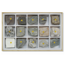 변상암 표본 II (15종) (HS-3005)